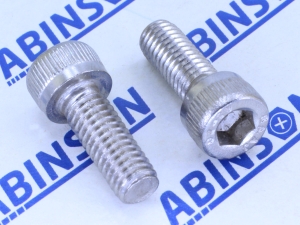 Socket Head M6 (6mm) x 16mm Allen Cap Stainless Steel SS Screw